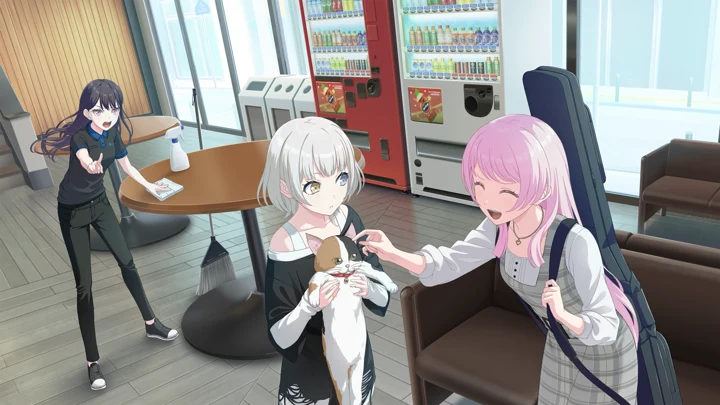 The Lost Cat